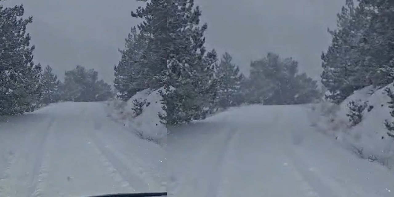 Lapa lapa kar yağışı Ankara sınırına kadar geldi