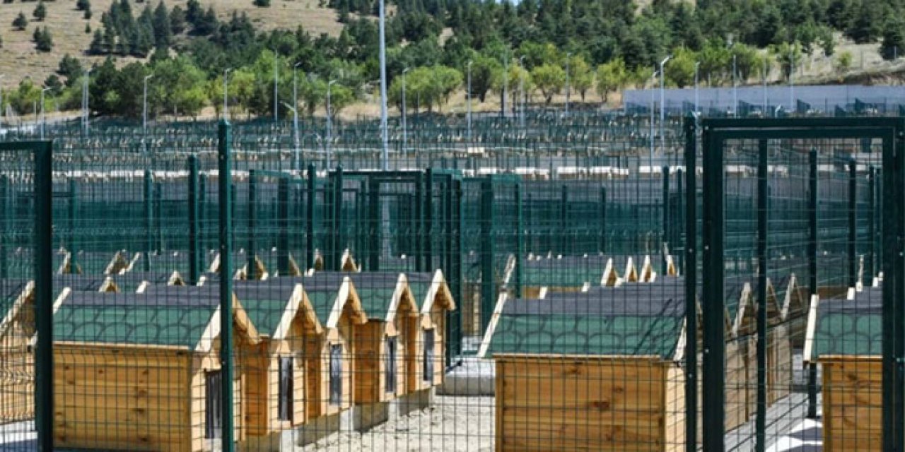 ABB’den barınak açıklaması: Telefon görüşmesinin tamamı pazartesi açıklanacak