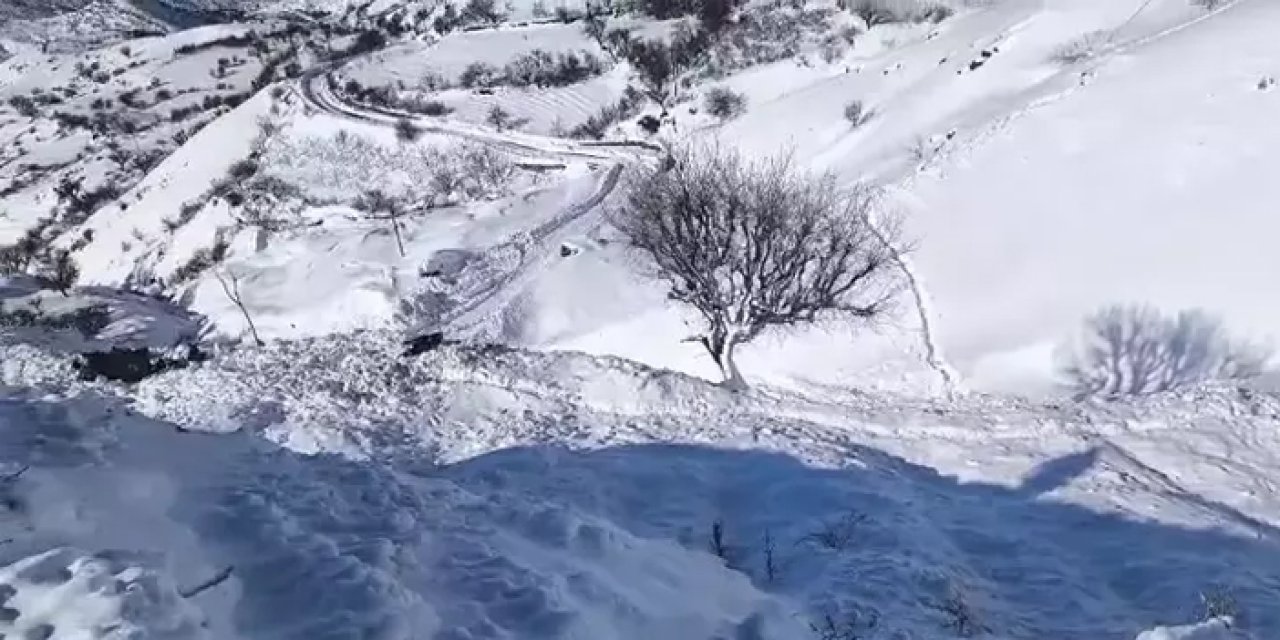 44 hayvan telef oldu! Batman’da çığ felaketi ahırı yerle bir etti