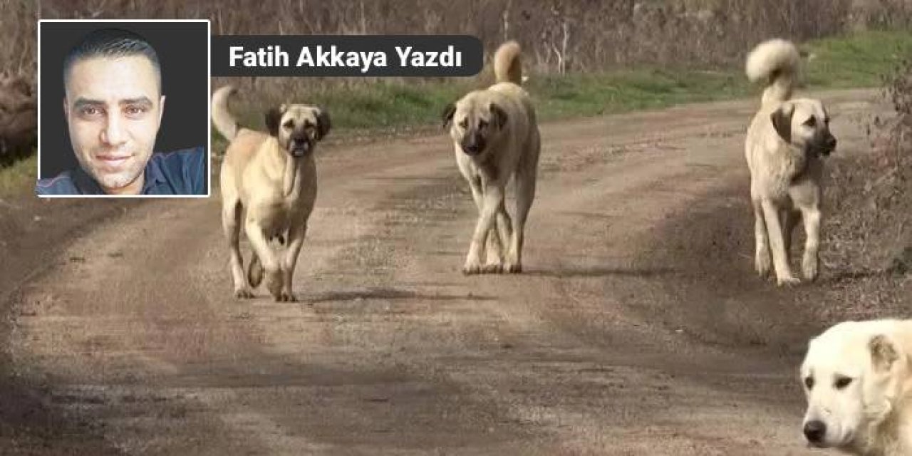 “YAZIKLAR OLSUN”