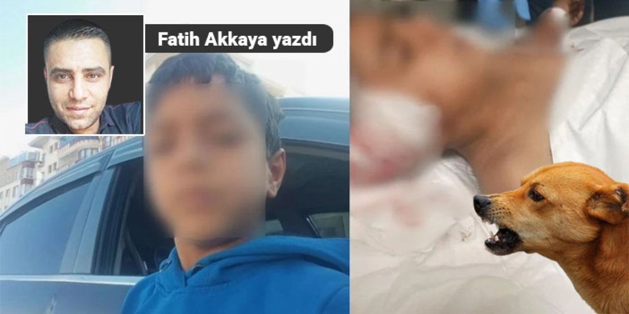 KOMPLEKS Mİ, KORKAKLIK MI?