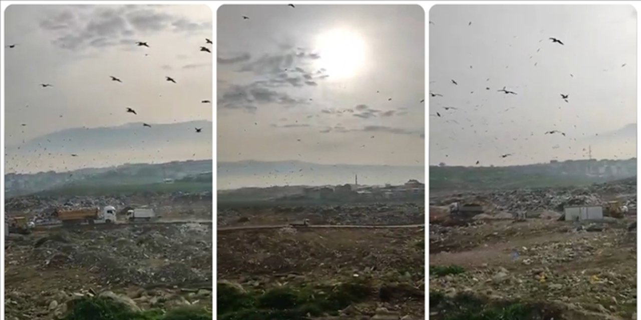 Büyükşehir Belediyesine 1,9 milyon lira ceza kesildi