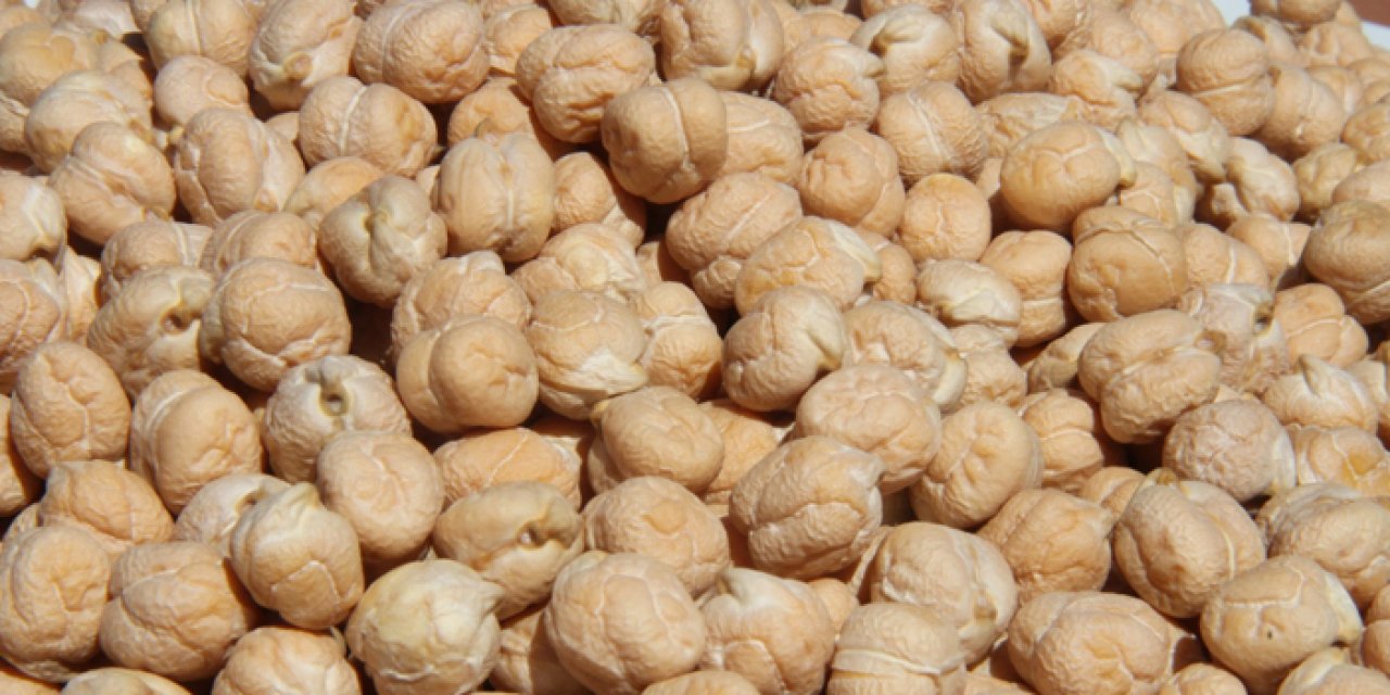 Ankara’da çiftçiye tohum destekleri başladı