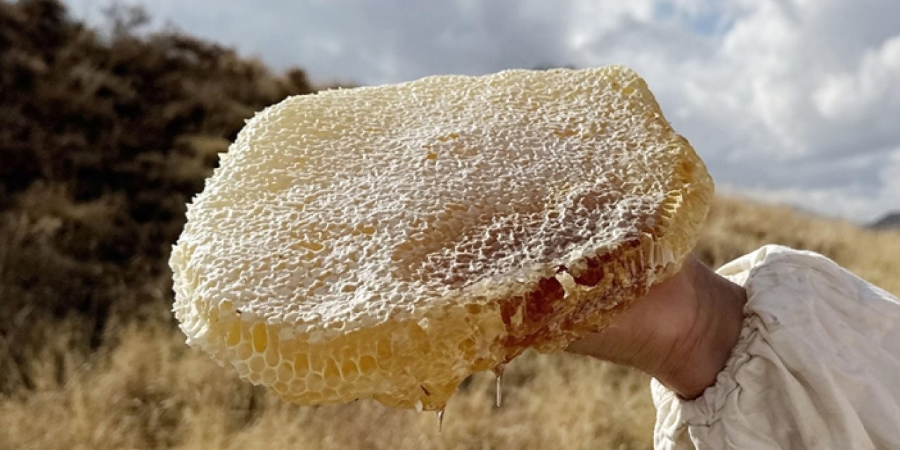 Ilgaz Balı Guinness Rekorlar Kitabı’na girdi