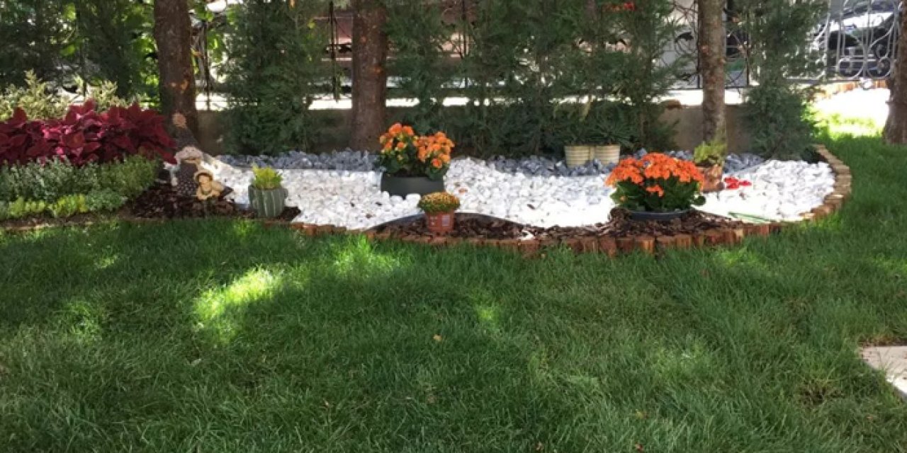 YENİMEK’te Bahçe Bitkileri ve Yeşil Alan Düzenleme Kursu için kayıt süreci başladı