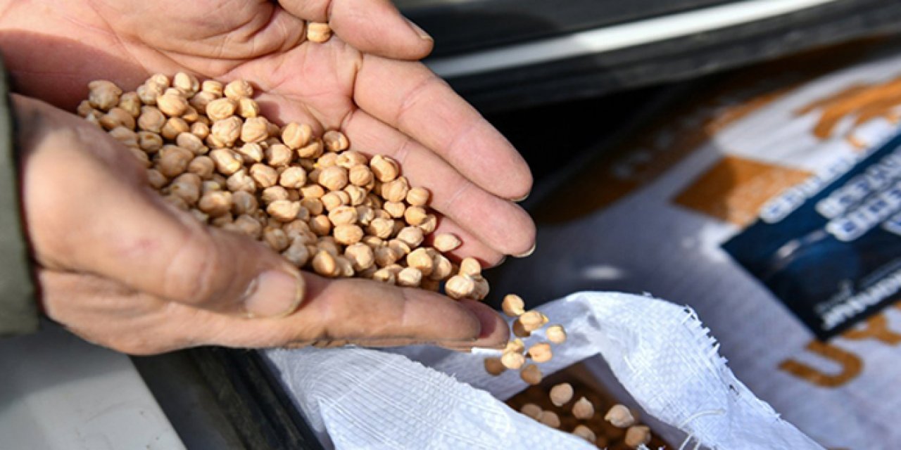 ABB’den nohut tohumu desteği: 23 Ocak’a kadar başvuru yapabilecek