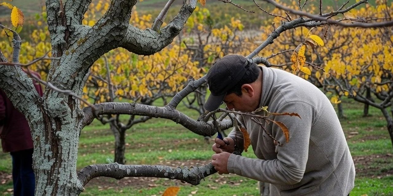 ABB’den üreticiye destek: Meyve ağaçlarında budama ve terbiye kursu tamamlandı
