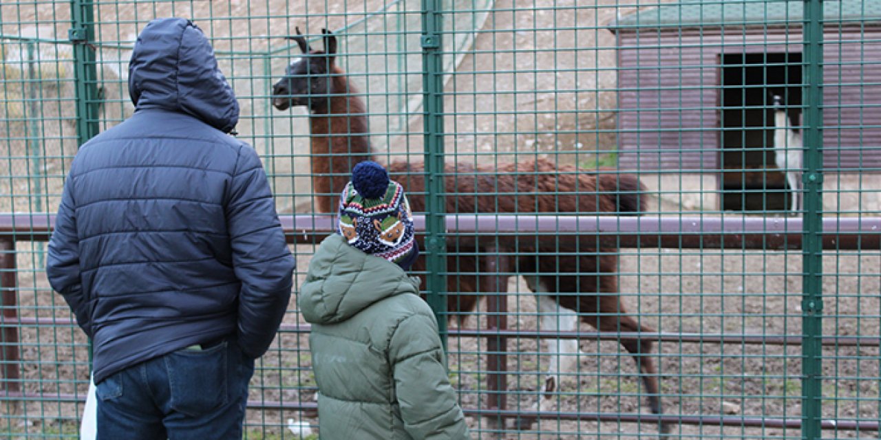 Tatilde minikler hayvanlarla buluştu: Doğal Yaşam Parkı dolup taştı