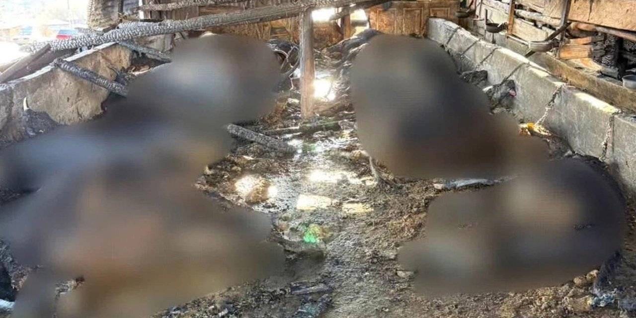 Çamlıdere’de yangın: 35 büyükbaş hayvan telef oldu