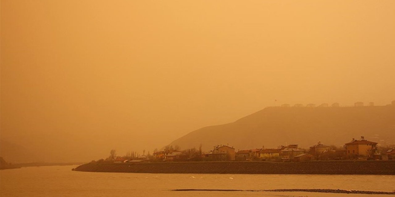 Afrika’dan gelen tehlike Ege Bölgesi’ne ulaştı!
