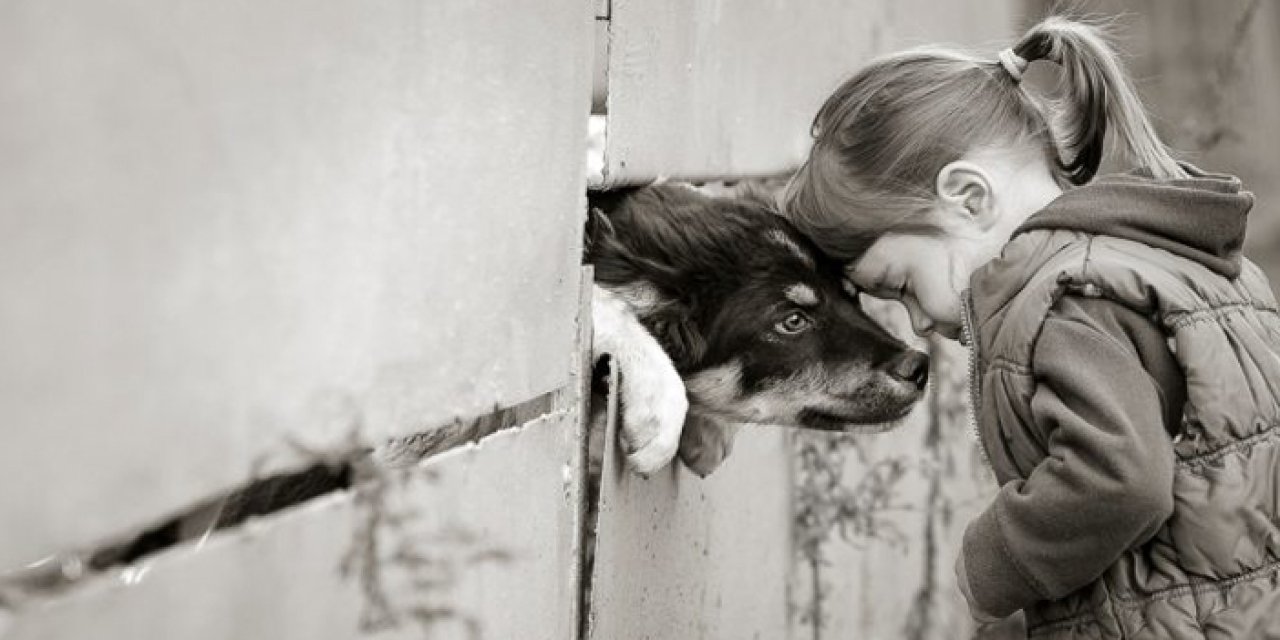 Merhametin enflasyonu