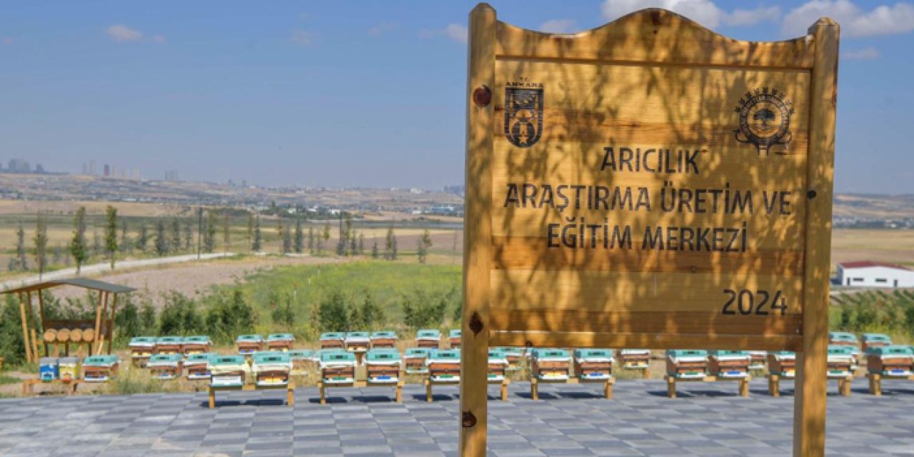 Başkentte arıcılığa modern dokunuş: Üreticiler eğitimde buluştu