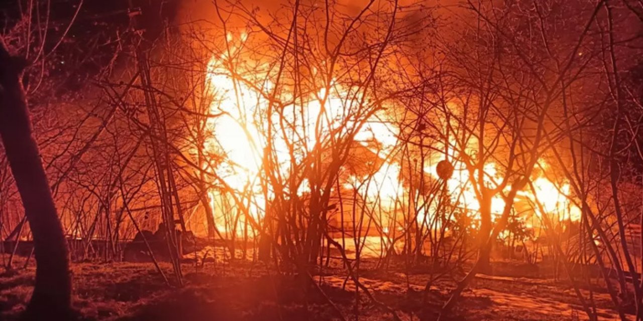 Yanan evinin ilerisinde ağaçta asılı cansız bedeni bulundu