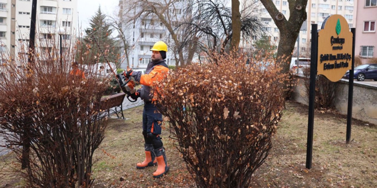 Çankaya’da yaz hazırlığı başladı: parklar ve sokaklar kapsamlı bakımdan geçiyor