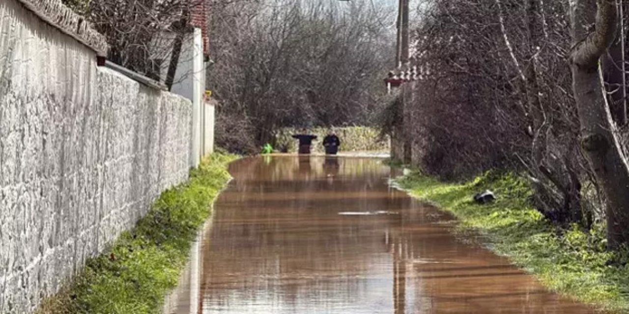 Acı Olay: Kayıp olarak aranan kadın, ağaca asılı bulundu
