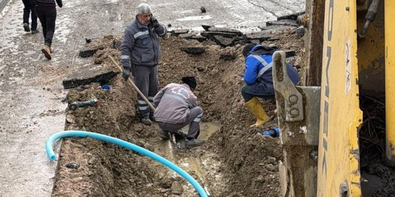 Ankara’da Karataş Hayvan Bakımevi ziyarete kapandı