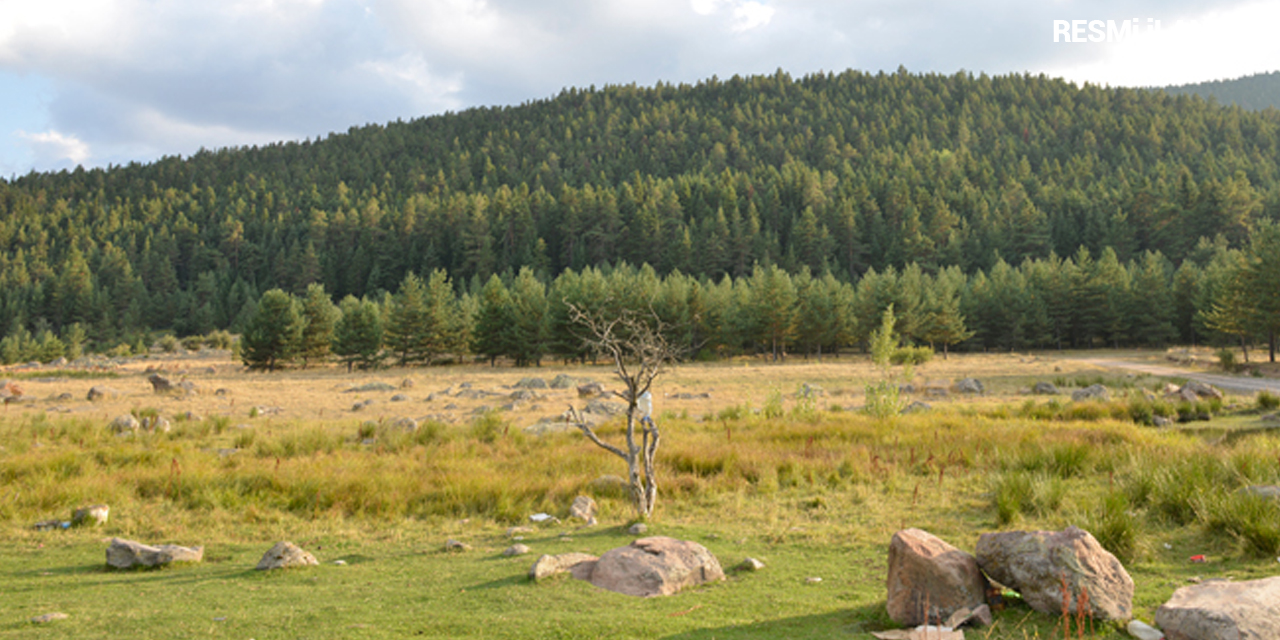 BEYPAZARI ORMAN İŞLETME MÜDÜRLÜĞÜ EĞRİOVA, BELENOVA, KAPAKLI VE GÜDÜL
