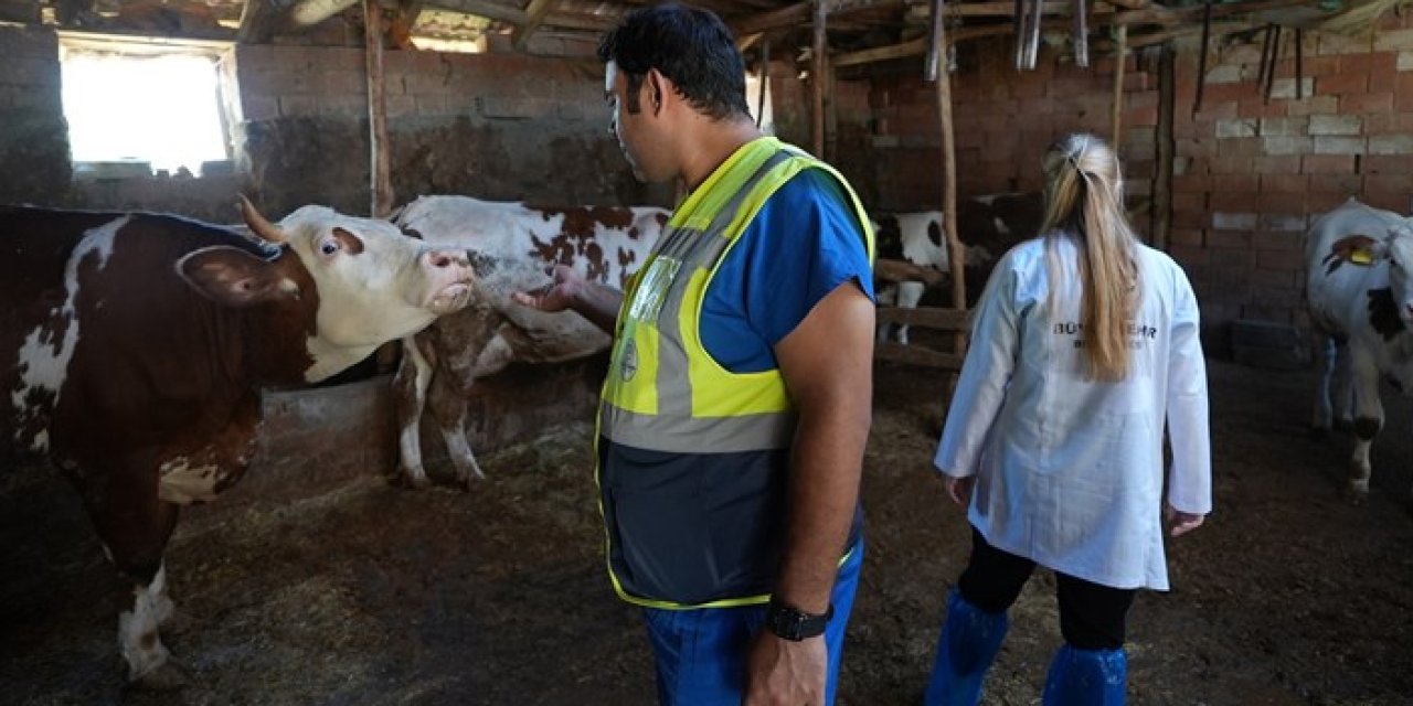 Büyükşehir’den yetiştiriciye veteriner desteği: Başvurular alınıyor