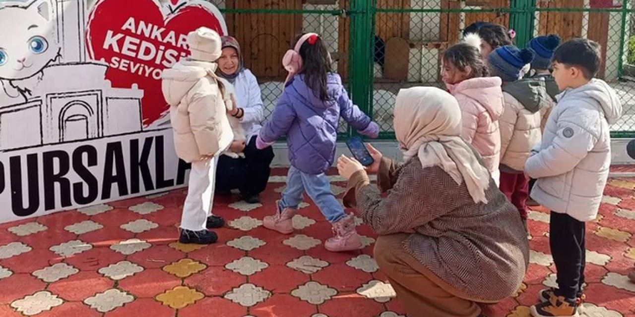 Pursaklar’da minikler Ankara kedileriyle buluştu