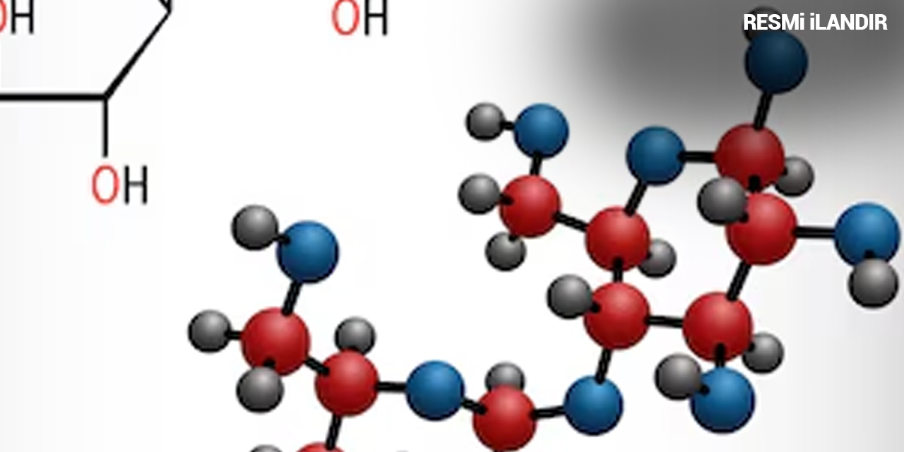 12 AYLIK SUT PUANLI MOLEKÜLER KARYOTİPLEME HİZMETİ