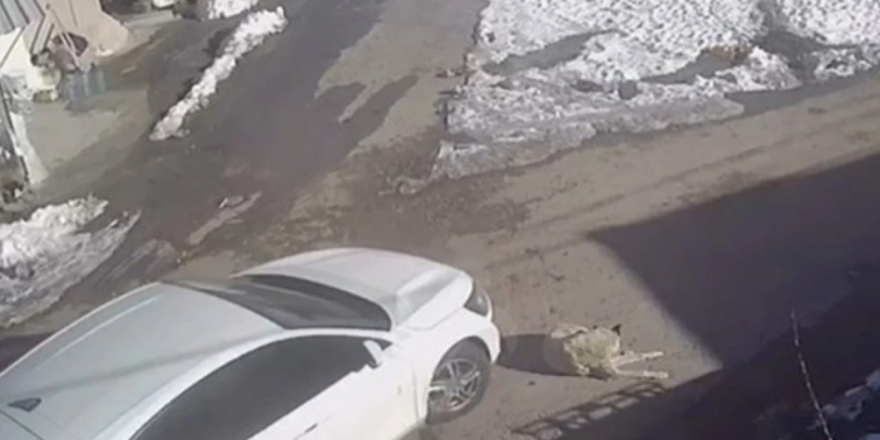 Yenimahalle'de pes dedirten görüntü: Araç köpeği ezdi