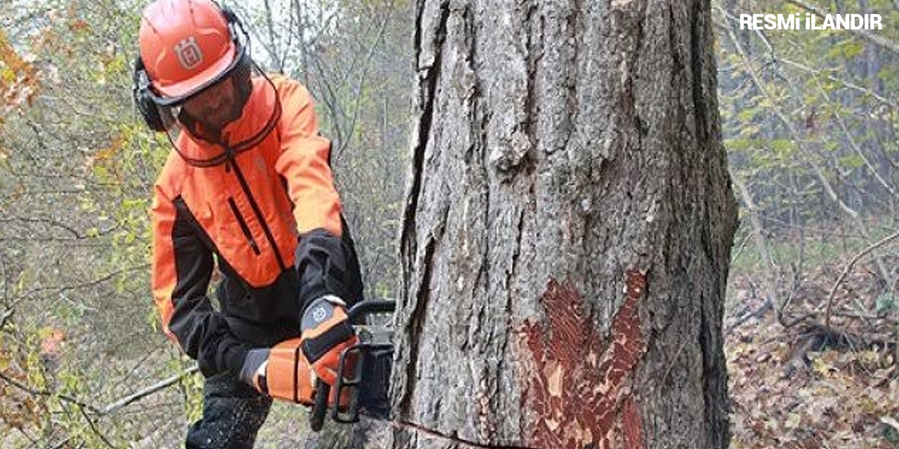 ORMAN ÜRETİM İŞÇİLİĞİ HİZMETİ ALINACAKTIR