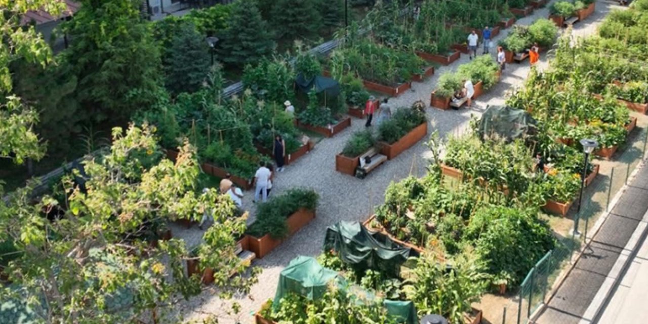 Kentin ortasında toprakla buluşma: Mutlukent Kent Bostanı’nda eğitim programı düzenlendi