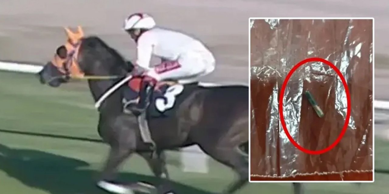 Mersin aşevinde at eti skandal: Kavurma yapıp yedirdiler