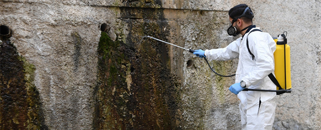 Mamak’ta haşereyle mücadele seferberliği