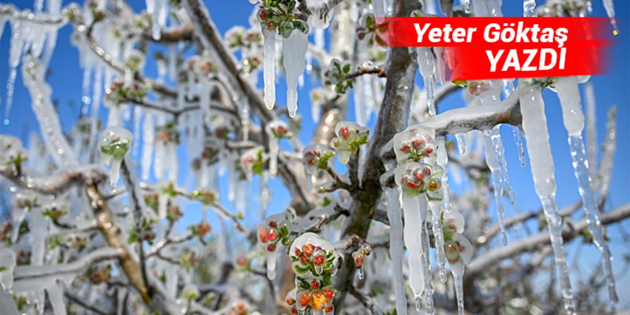 Bu yıl da zirai don olur mu?