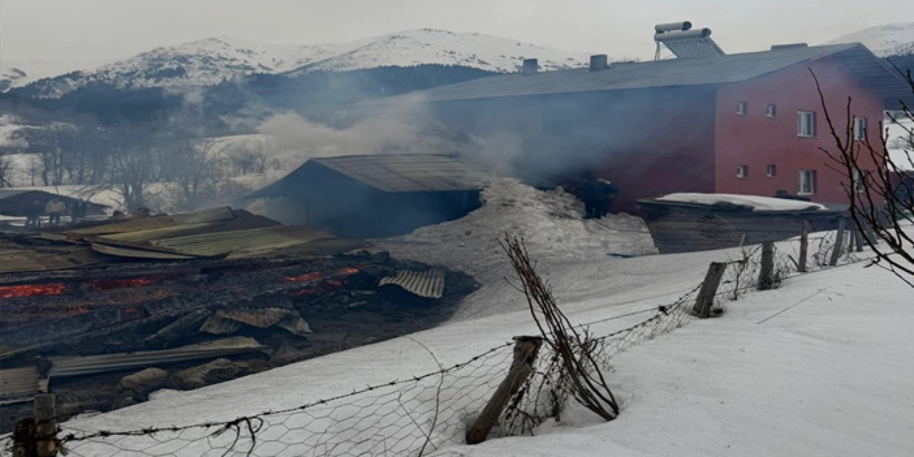Artvin’de Alevler Köyü Sardı: 1 Ev, 2 Ahır ve Ambar Kül Oldu!