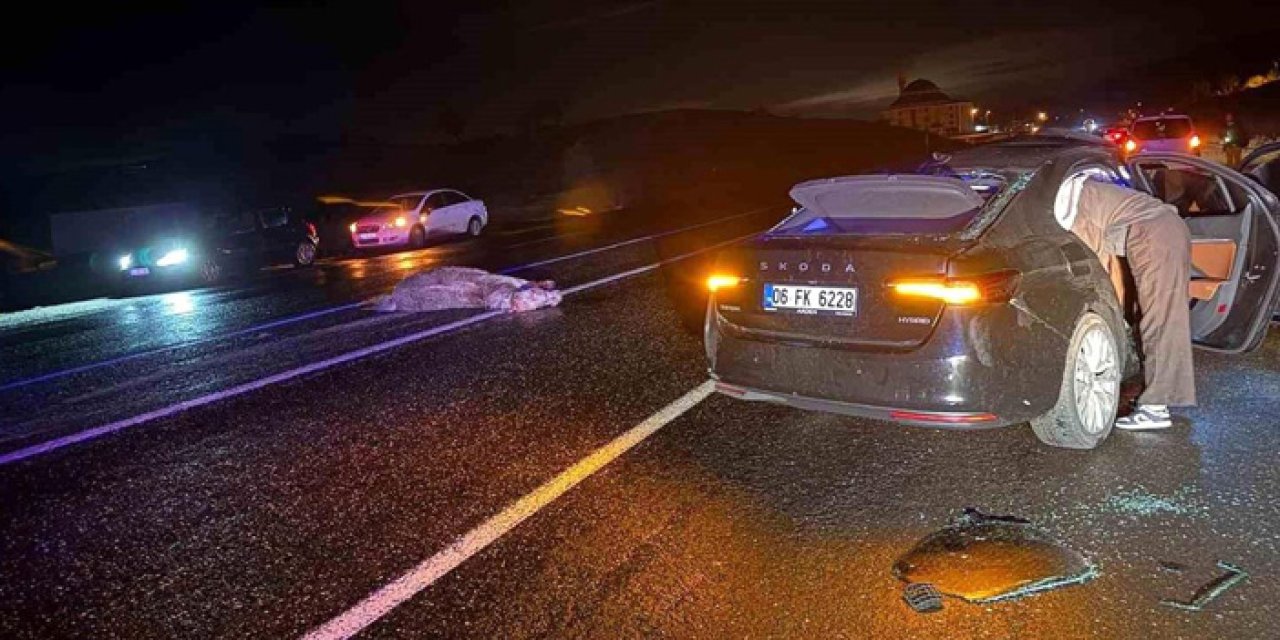 Bingöl'de Otomobil Ata Çarptı: 4 Yaralı, At Telef Oldu!
