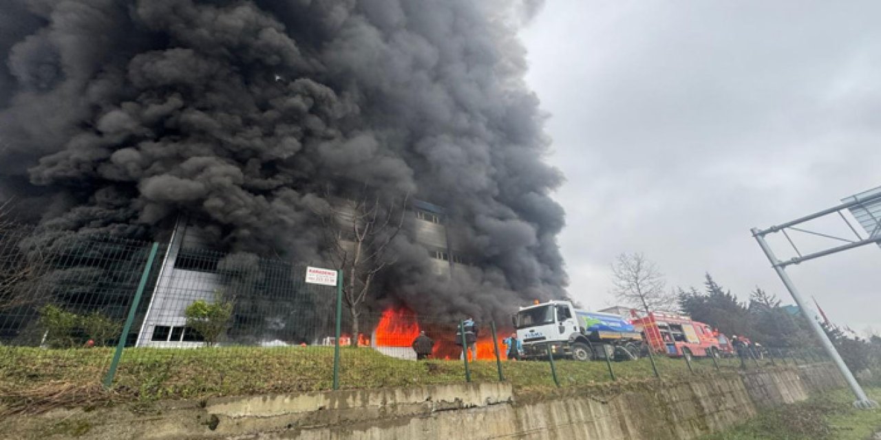 Trabzon'da Korkutan Yangın: Fındık Fabrikası Alev Alev Yanıyor!