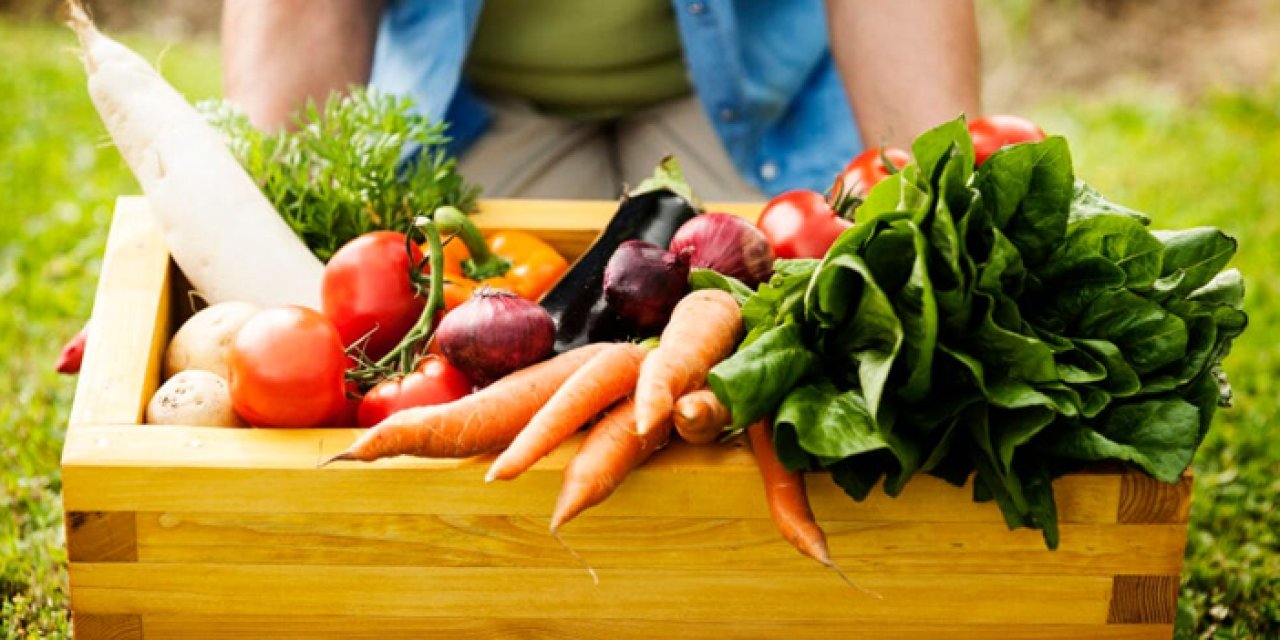 Başkentte organik tarım atağı: Eğitim programı başlıyor