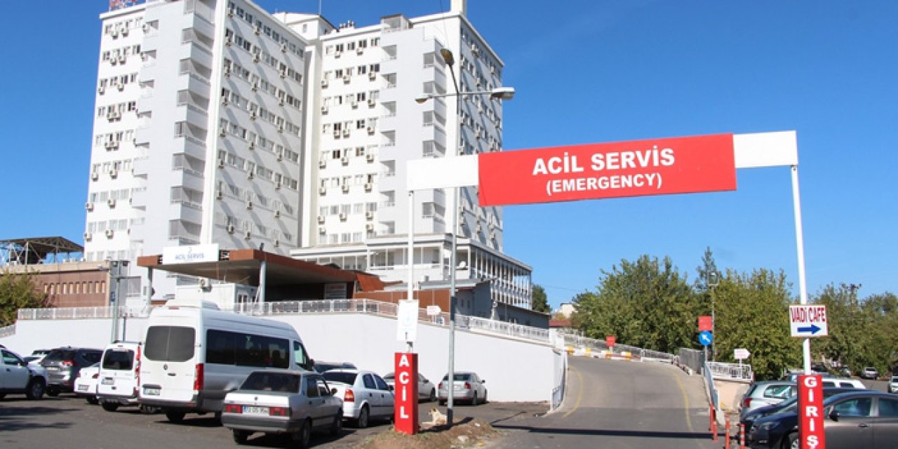 Diyarbakır'da Acı Olay: Kaçan İneğinin Peşinden Koşarken Canından Oldu