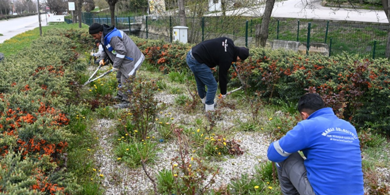 Mamak’ta bahar seferberliği: Ağaçlar budandı, yeşil alanlar yenilendi