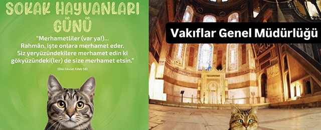 Diyanet camiasında “Sokak hakları günü” rahatsızlığı