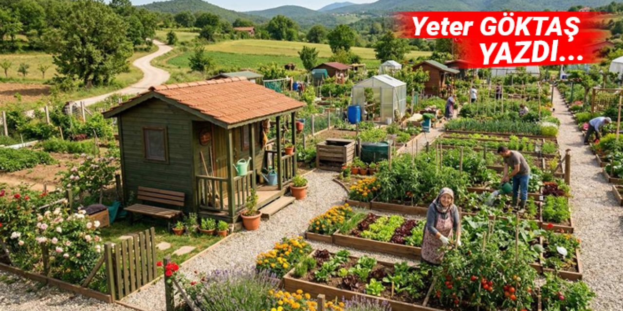 Hobi bahçeleri yıkılacakmış!