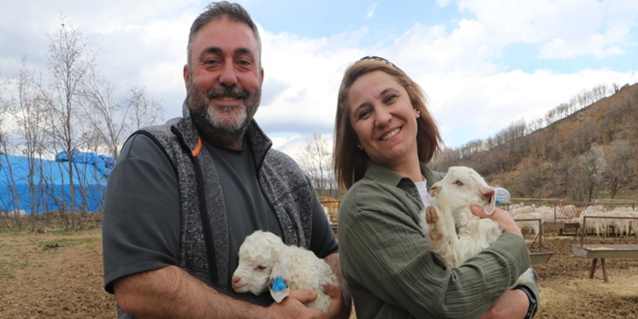 Ankara’daki bir çiftçi 6 yılda sürüsünü 1300 Ankara Keçisine çıkardı