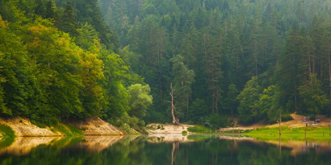 Milli parklarda yeni dönem: Uzmanlık sürecine yeni kriter
