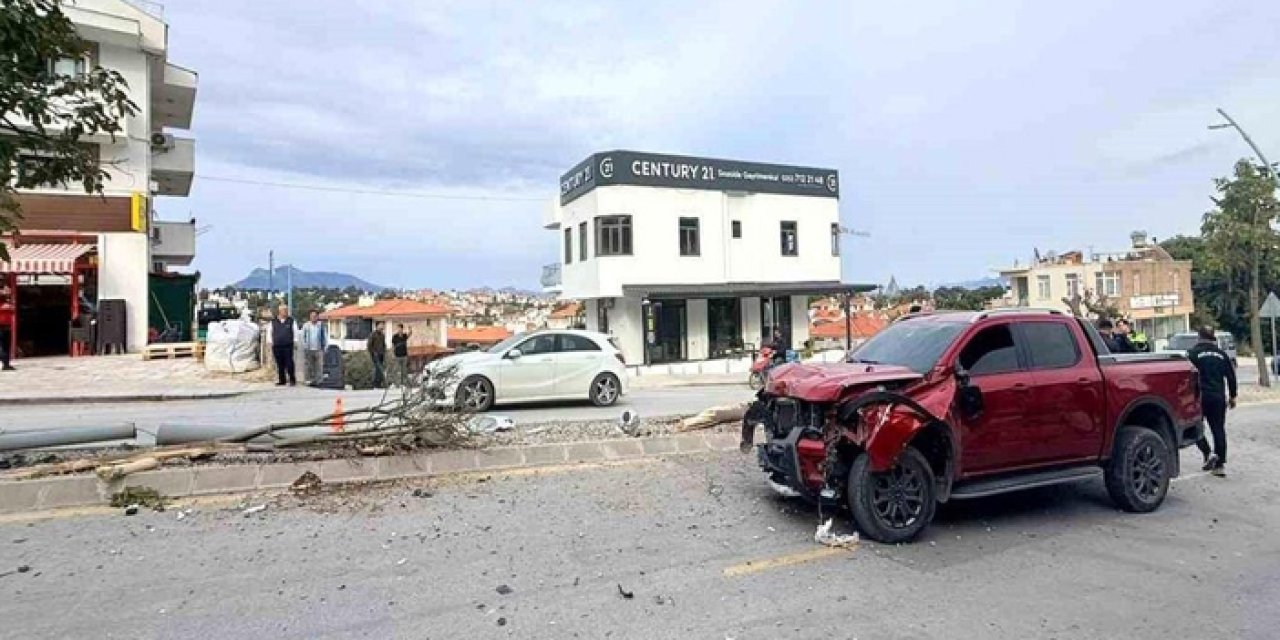 Direksiyon hakimiyetini kaybetti, 2 ağaç ve elektrik direğini yerinden söktü