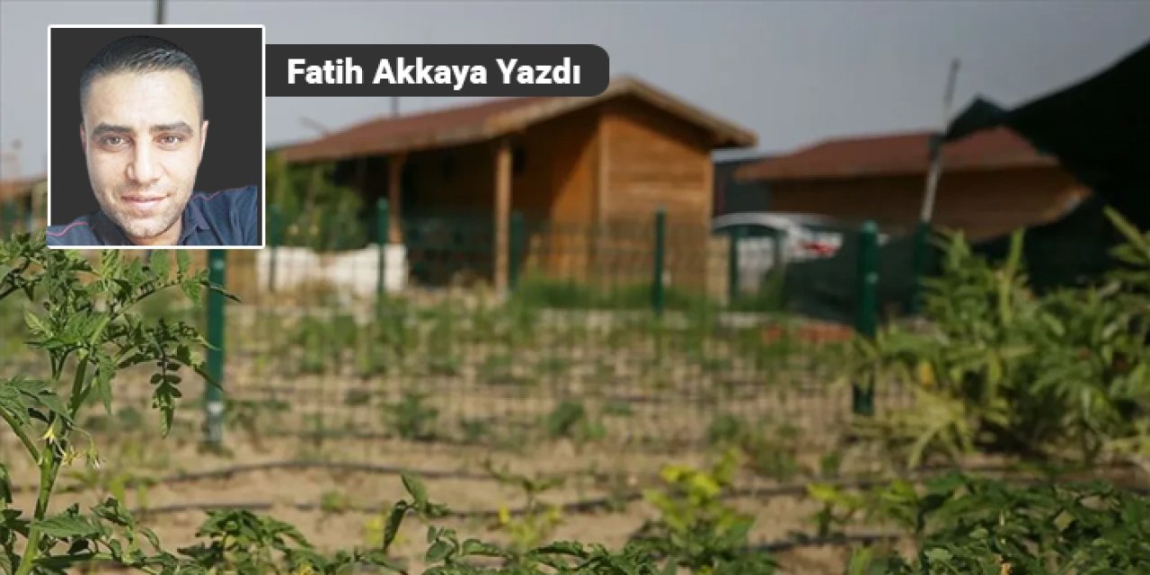 Kimine yıkım kimine af