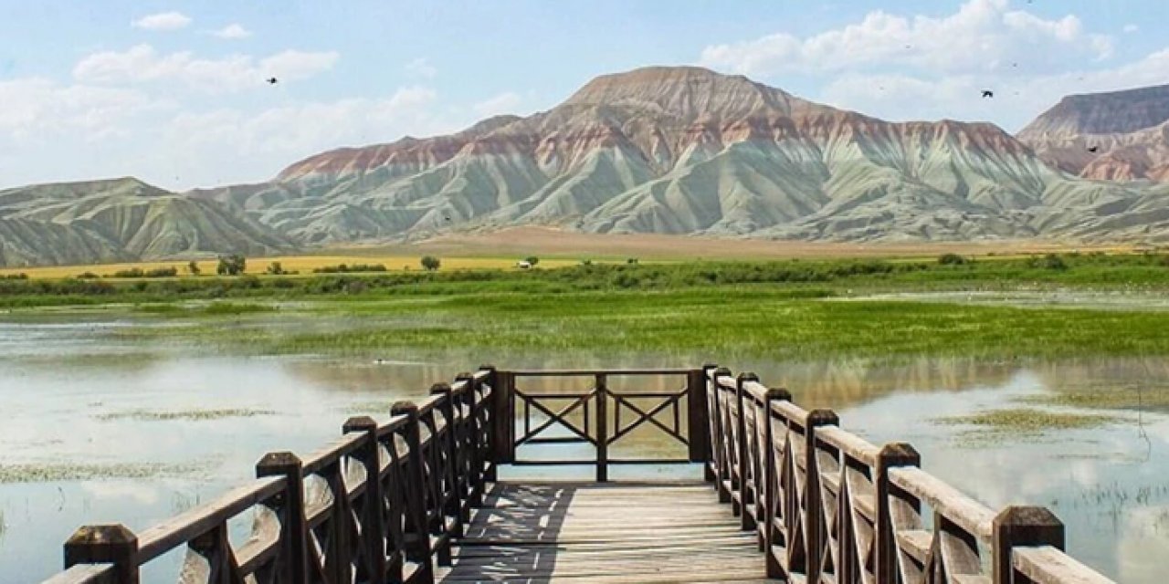 Nallıhan’da bahar şenliği başlıyor: Kedy sahne alacak
