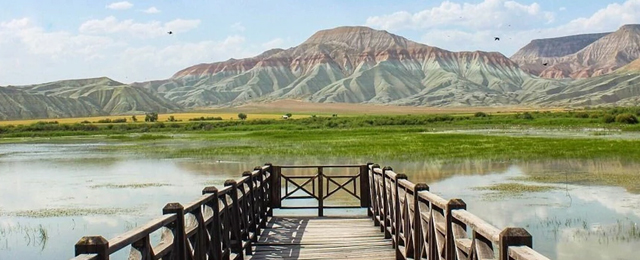 Nallıhan’da bahar şenliği başlıyor: Kedy sahne alacak