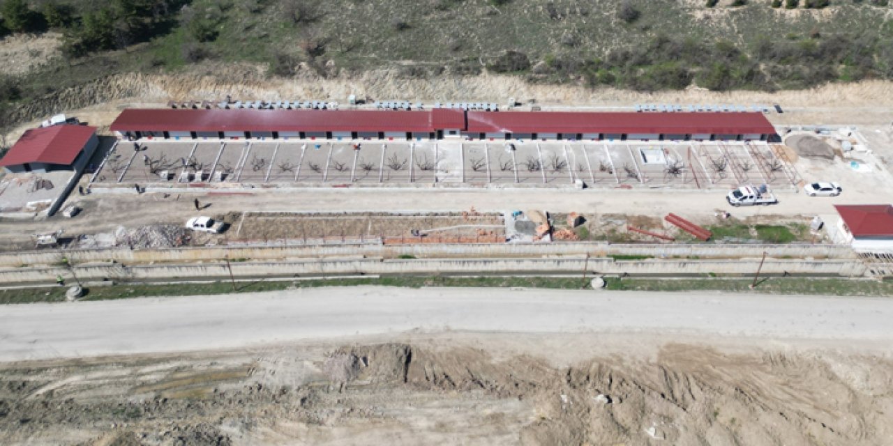 Mamak’a dev yaşam alanı: Üreğil’de evcil hayvan parkında geri sayım