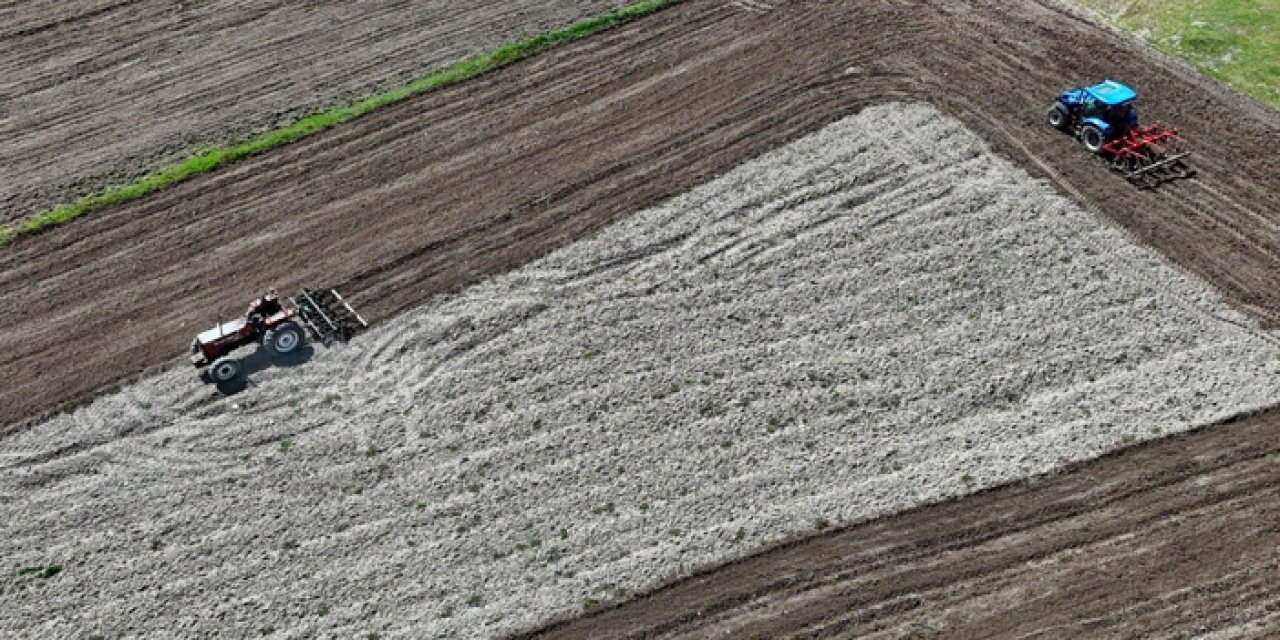 40 yıllık hasret bitti: Çeltikçi’de pirinç tarlaları yeniden yeşerdi