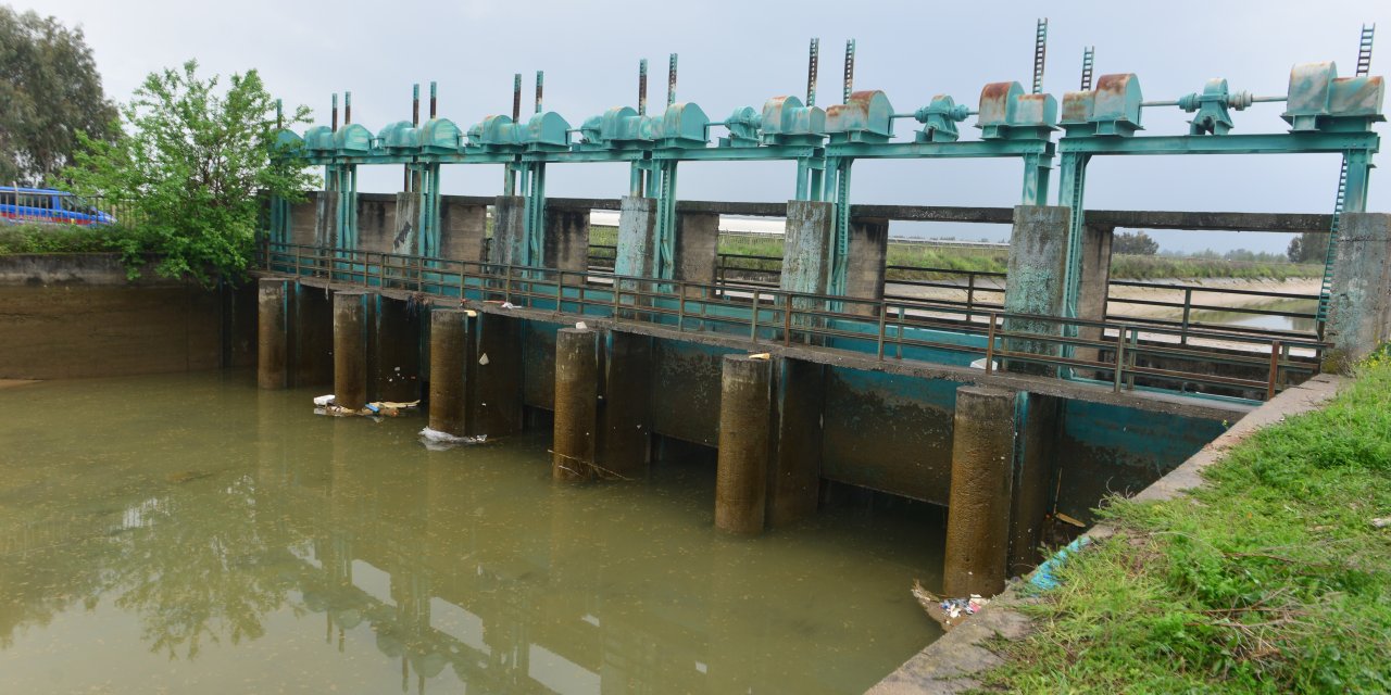 Sulama kanalına girdi, canından oldu
