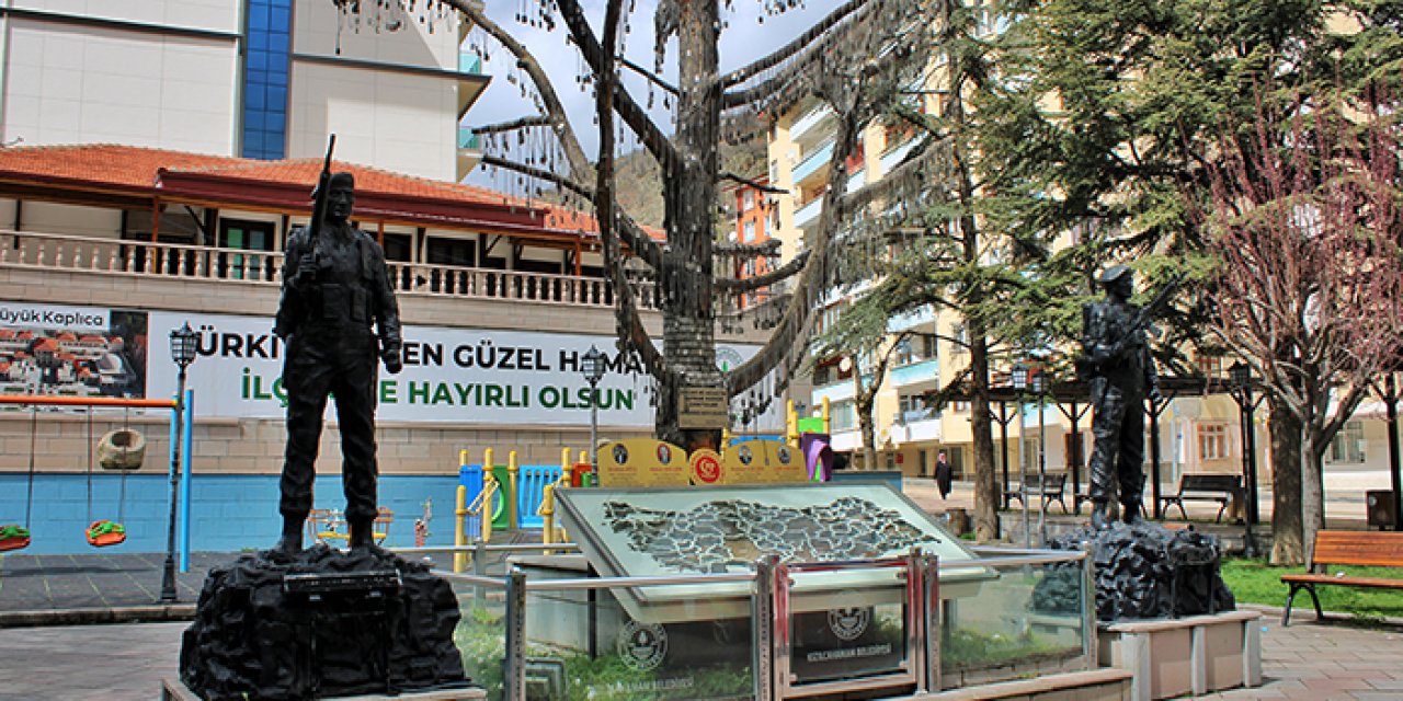 Kahramanların ismi aynı gövdede buluştu: Şehit Ağacı yürekleri titretiyor