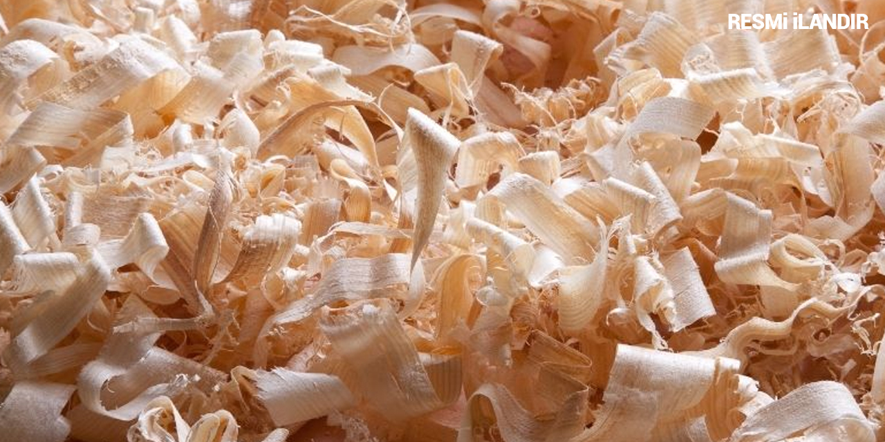 ATLAR İÇİN ALTLIK TALAŞ VE SAP ALIMI