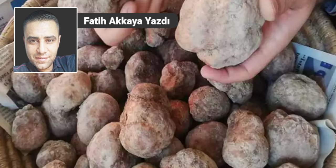 Fatih Akkaya yazdı: “Dolaman efsanesi”